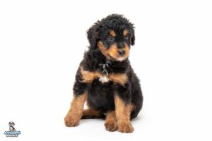 Rio 7wks 4840 300x200