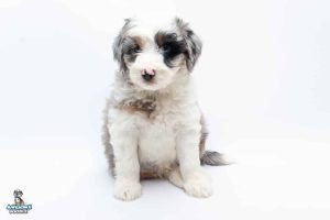 Blu 7wks 9943 300x200