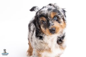 Winnie7wks 1101 300x200