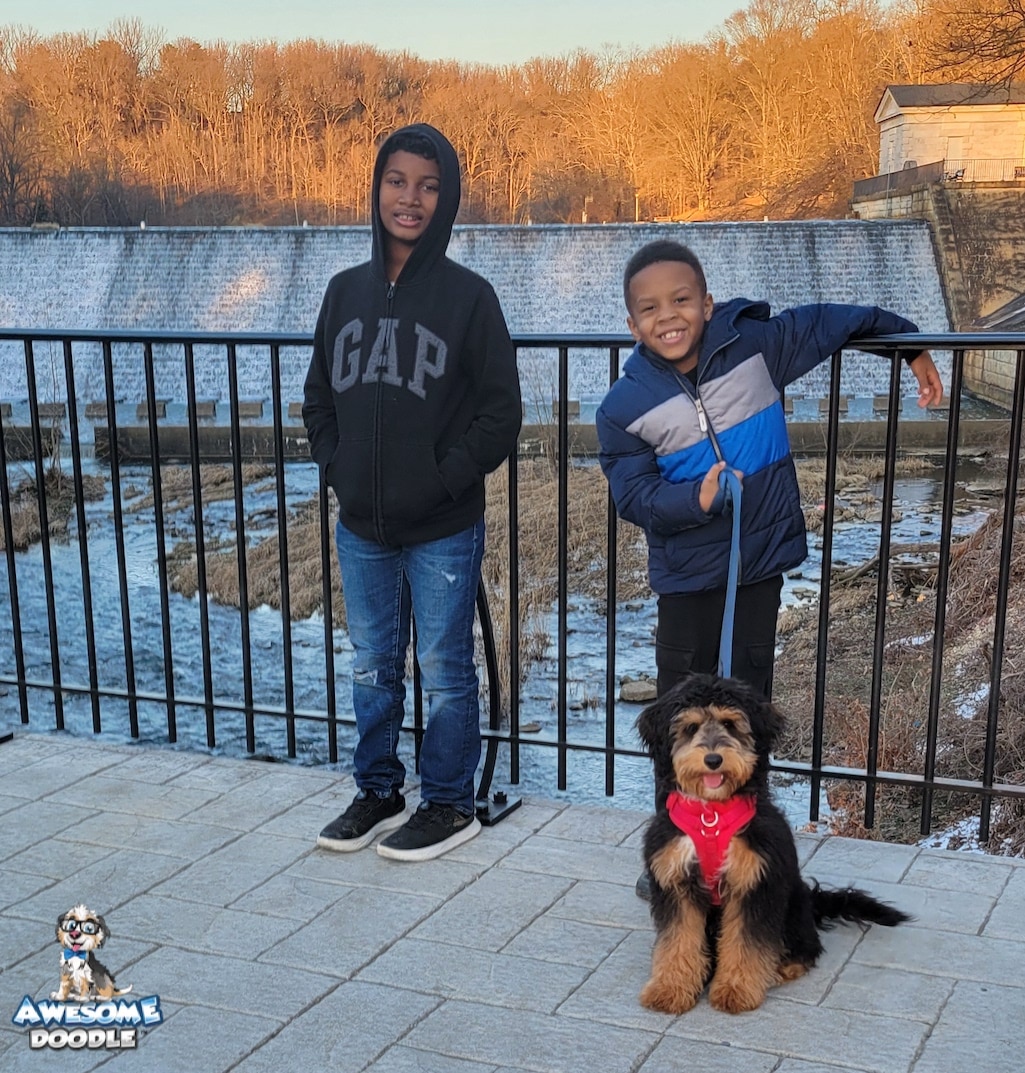 phantom-aussiedoodle-with-family