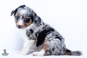 Ruby7wk4444 300x200