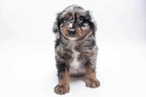 Jake7wk2789 300x200